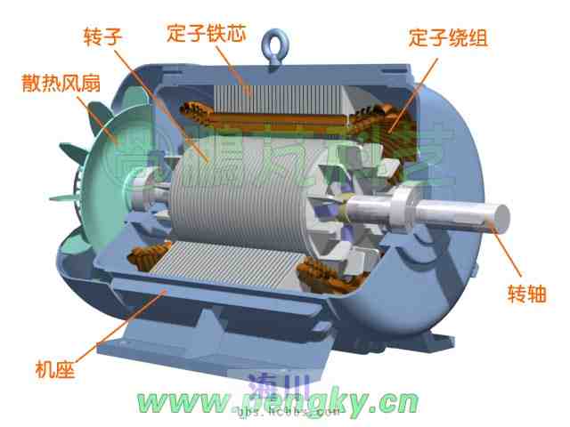三相电动机内部结构图片