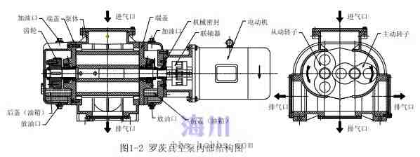 罗茨泵工作原理模拟图图片