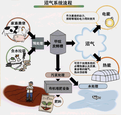 沼气发酵过程图片