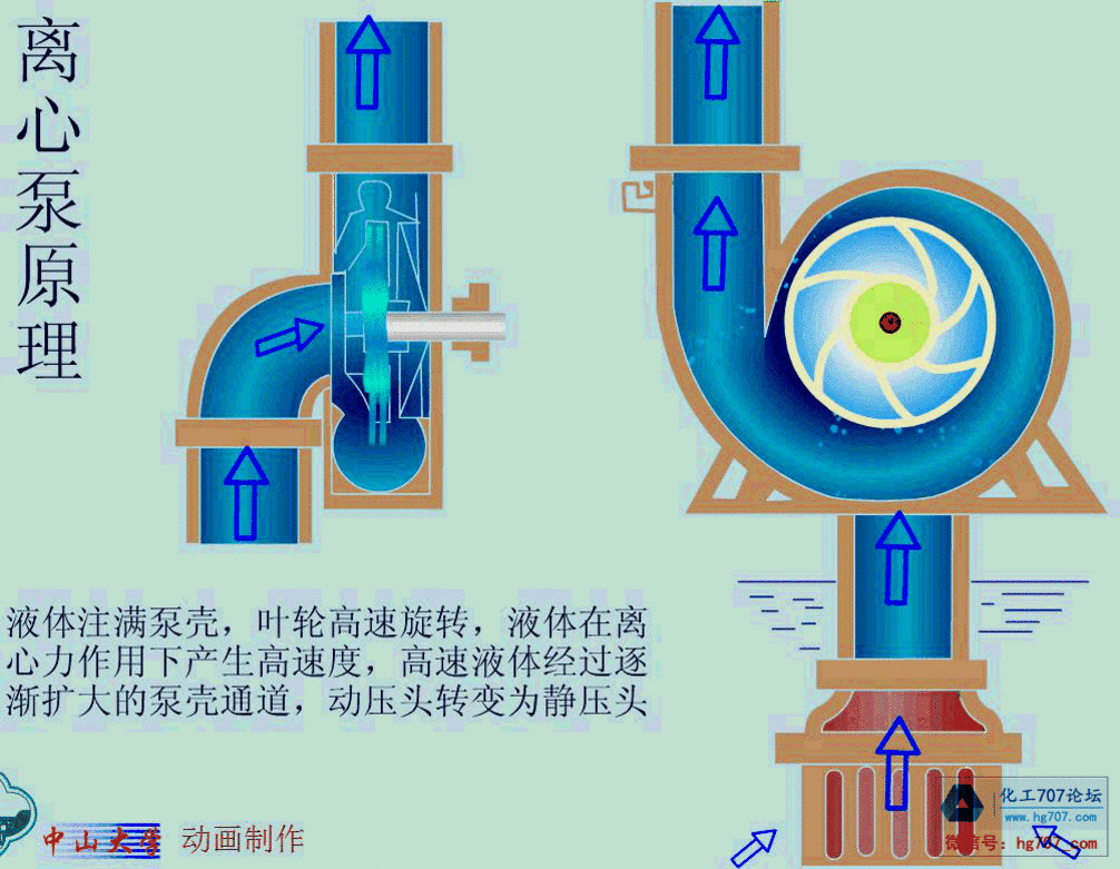 离心水泵结构原理图图片